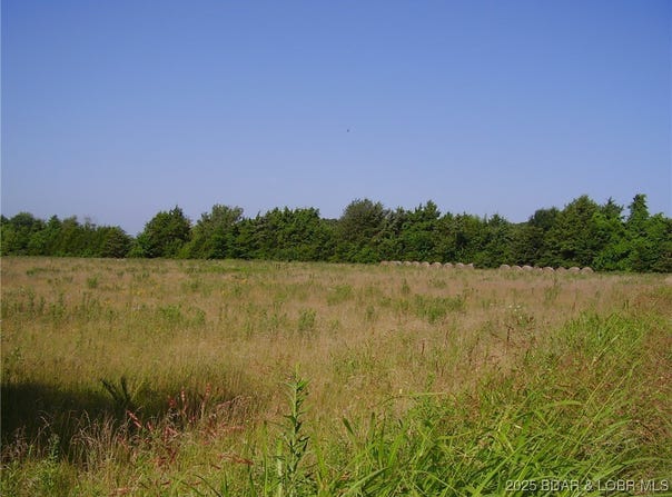 3525 S 240th Road, Louisburg, MO 65685