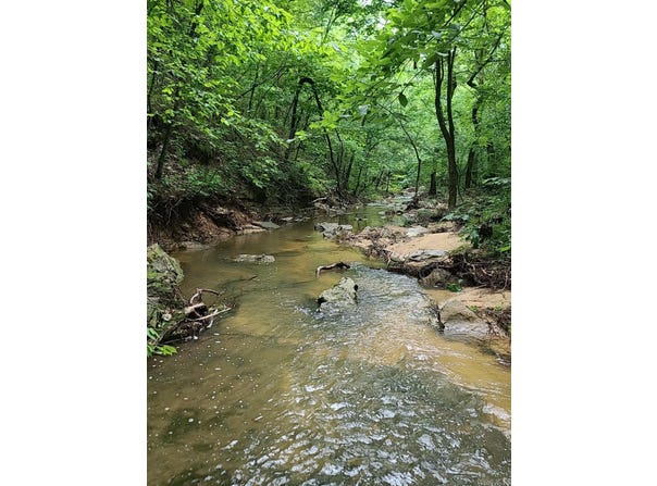 000 Old Dolph Road, Pineville, AR 72566
