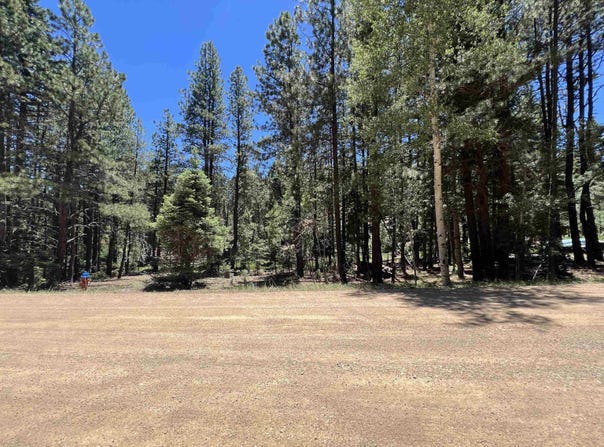 Alpine Lake Way Lot 3 Blk E, Angel Fire, NM 87710-0000