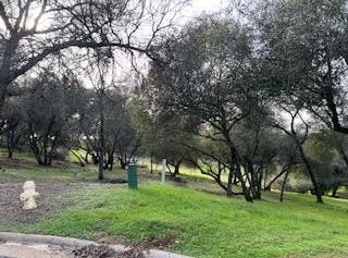 326 Mill Court, Angels Camp, CA 95222