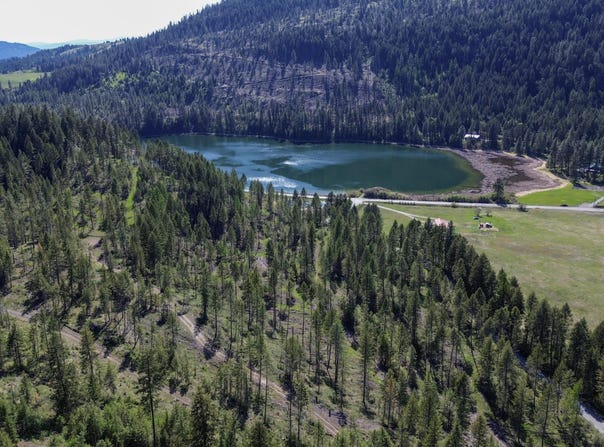16XX WILLIAMS LAKE RD, COLVILLE, WA 99114
