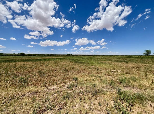 Camino Ulibarri, Veguita, NM 87062