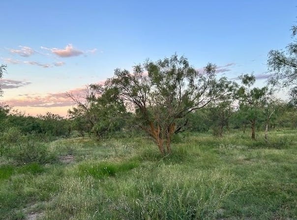 587 Valley Rd, Eldorado, TX 76936