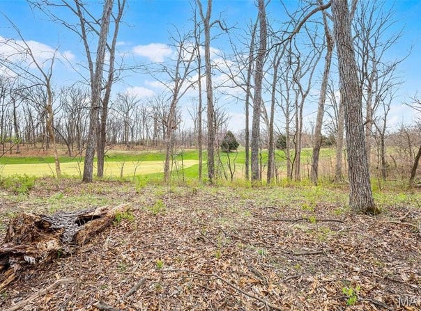 118 Summer Grace Lane, St Charles, MO 63304