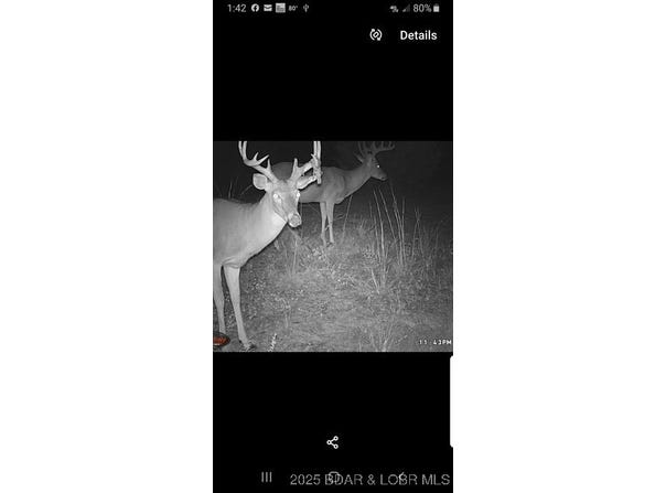 Tbd Big Rock Road, Barnett, MO 65011