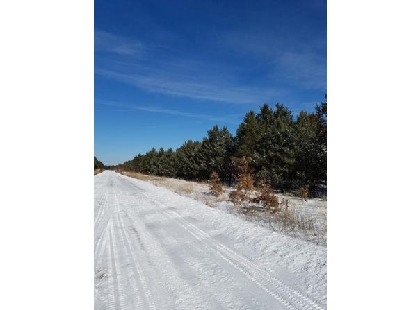 ON 13TH AVENUE, Nekoosa, WI 54457