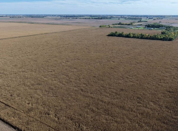 Land Auction Section 19-137-51, Davenport, ND 58021