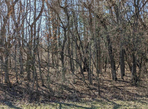 TBD W 550 South, Portland, IN 47371