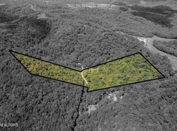 21.03 Ac Watts Hollow Rd, Buffalo Valley, TN 38548
