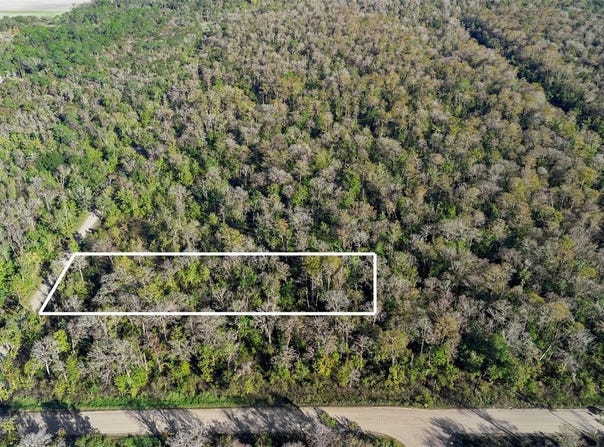 3911 EVERGREEN AVENUE, BUNNELL, FL 32110