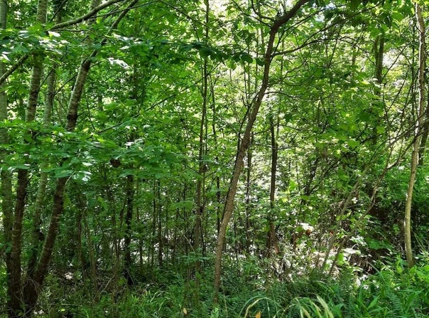 1774 Owl Creek Road, Lucasville, OH 45648