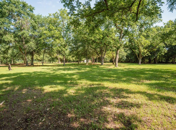 418 S Dixie Road, Wagener, SC 29164