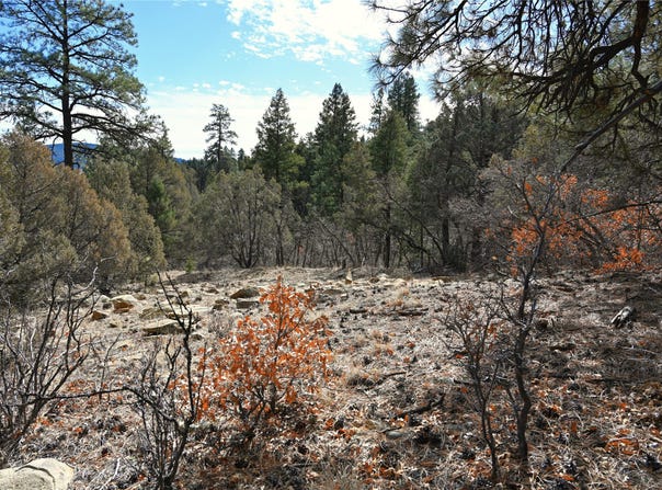 Bear Rd CR 322 unit: D-1 Lot 12, Tierra Amarilla, NM 87575