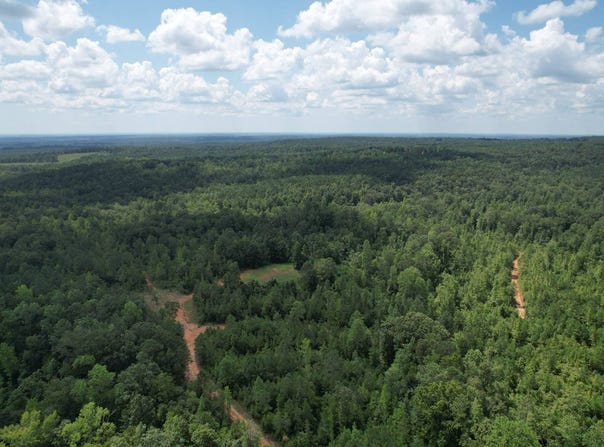 0 County Road 518, Roanoke, AL 36323