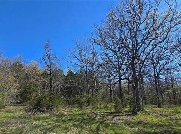 0000 Wilderness Springs - Tract  CCCCC  TR, Lead Hill, AR 72544