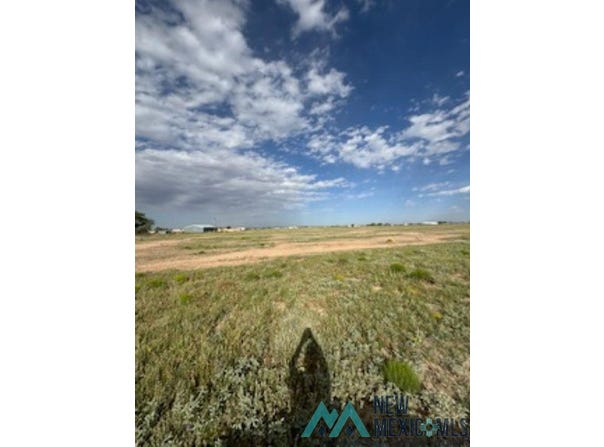 00 Michael Rd, Dexter, NM 88230