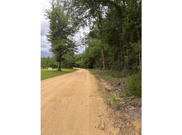 Jordon Grove Rd, Dozier, AL 36028