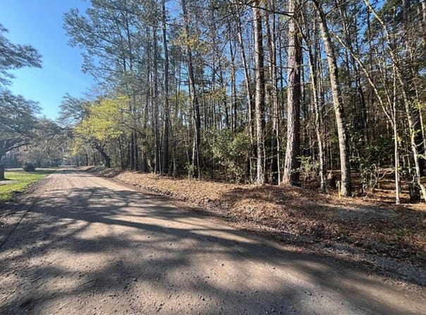 Willtown Road, Adams Run, SC 29426