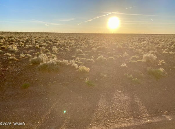 Tbd Hodges Ln 39.05 Acres, Holbrook, AZ 86025