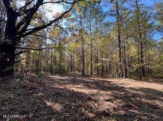 Perry Chapel Road, Ashland, MS 38603