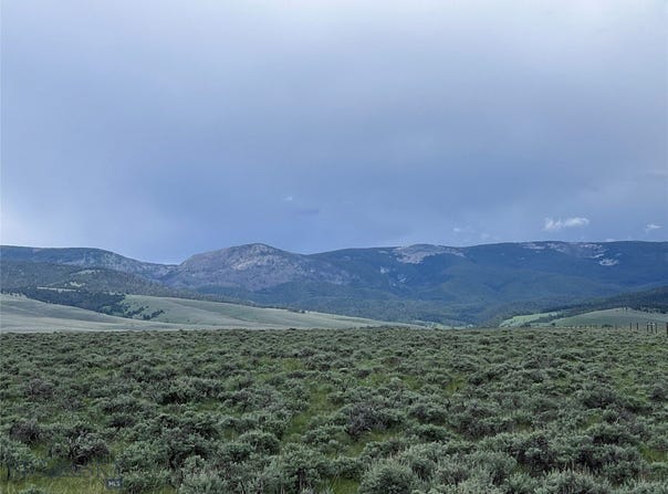 Tract 38 Monte Drive, Wisdom, MT 59761