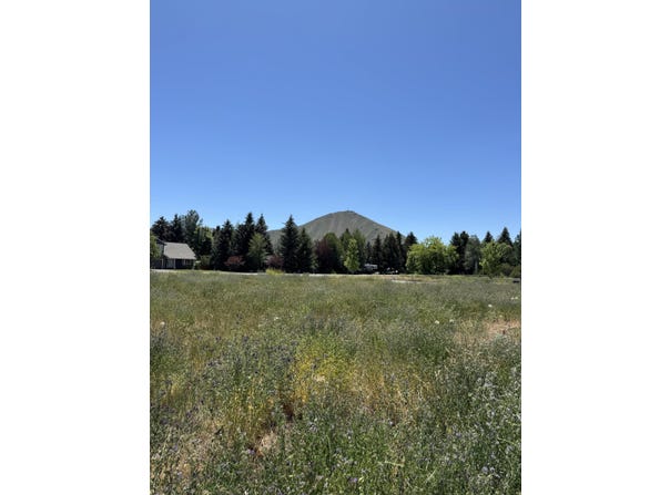110 Sunbeam St, Hailey, ID 83333