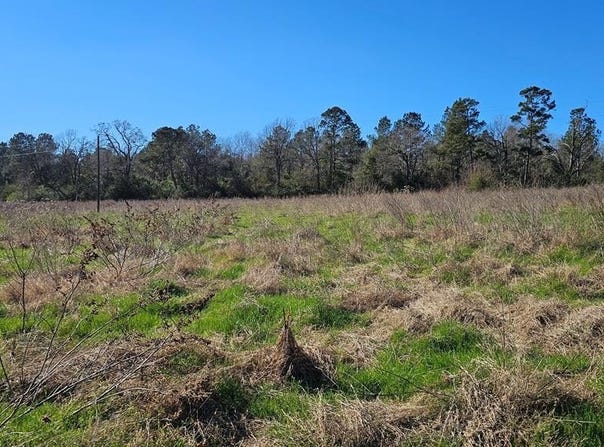 607 County Road 134, GARRISON, TX 75946