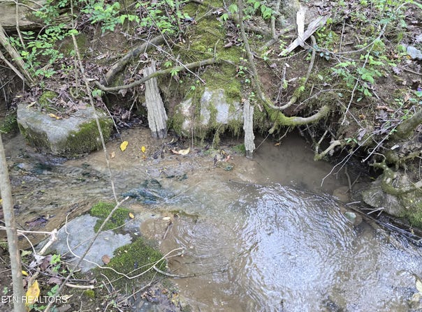 Tr-2 BOATMANS MOUNTAIN-TR 2 Rd, Morristown, TN 37814