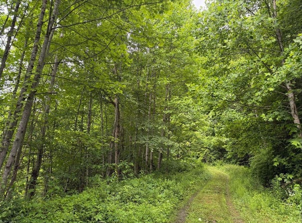 Tbd Osborne Mountain Rd, Raven, VA 24639