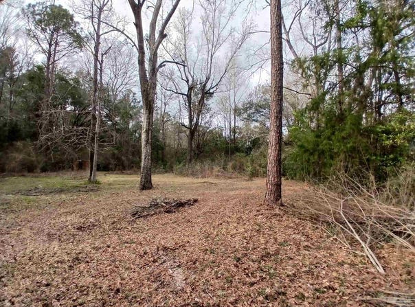 930 Brookhills Dr, Cantonment, FL 32533