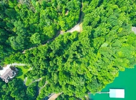 Lot 14 Diamond Point Drive, Butler, TN 37640