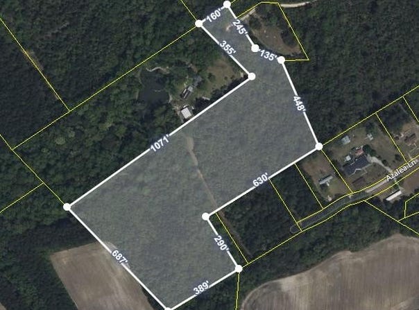 Tbd Plowden Mill Road, Alcolu, SC 29001