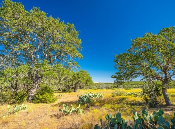 391 Henry P Schmidt Rd, Fredericksburg, TX 78624