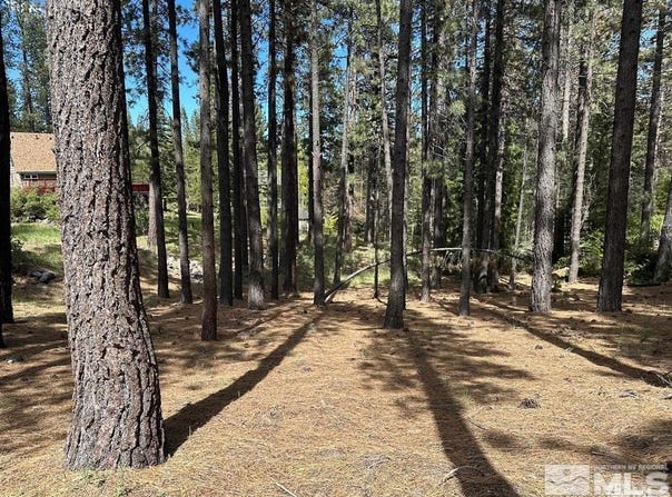 546 Pleasant Valley Road, Markleeville, CA 96120