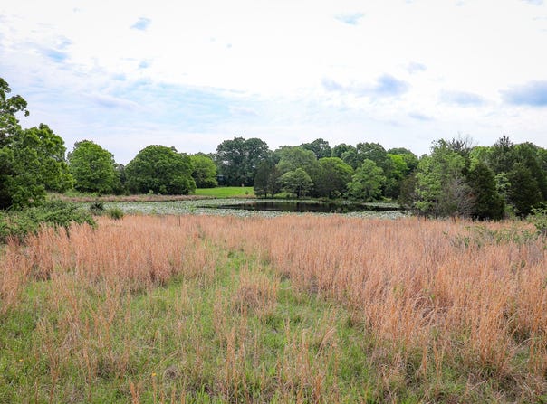 7094 S Farris Rd, Atoka, OK 74525