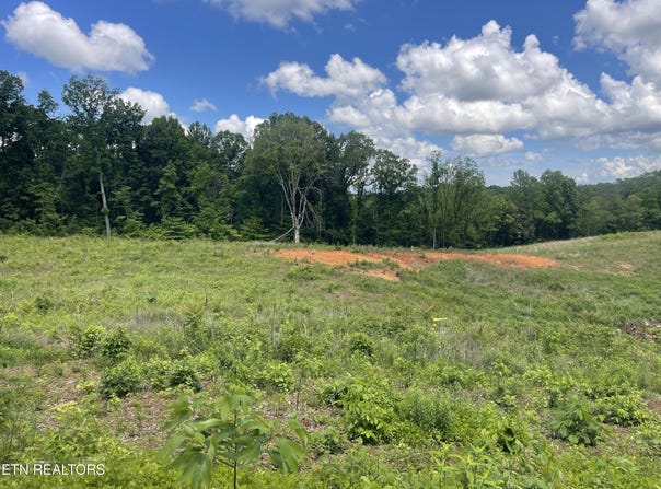 Lot 14 Laura Boling Loop Rd, Strawberry Plains, TN 37871