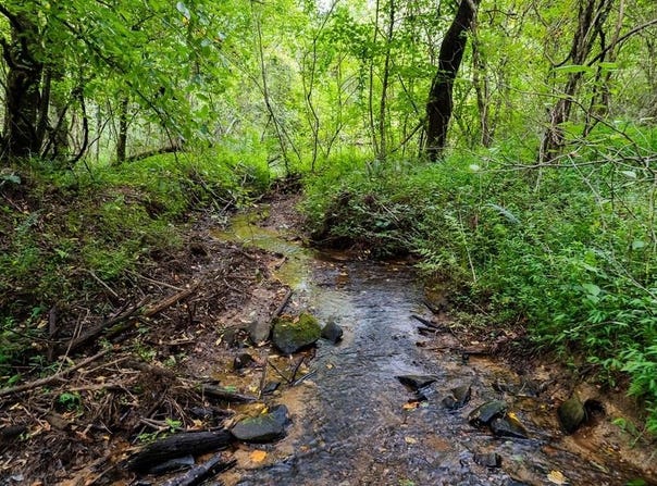 13.59 Ac Ridgeway Church Road, Ellijay, GA 30540