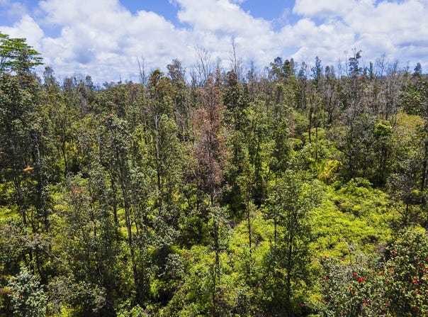 AULII ST, Keaau, HI 96749