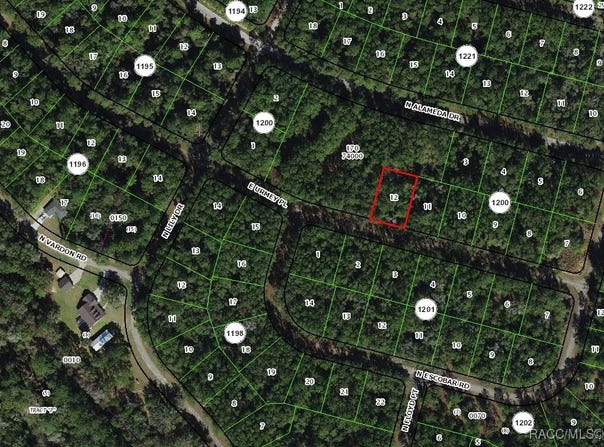 1311 E Urmey Place, Citrus Springs, FL 34434