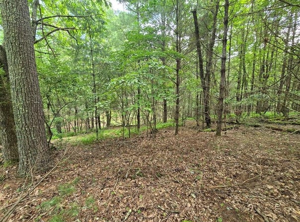 Tbd Summerset Dr., Independence, VA 24348