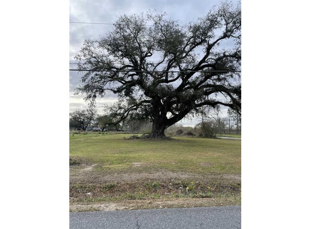 Highway 1011 lot: 30, 3, 31, Napoleonville, LA 70390