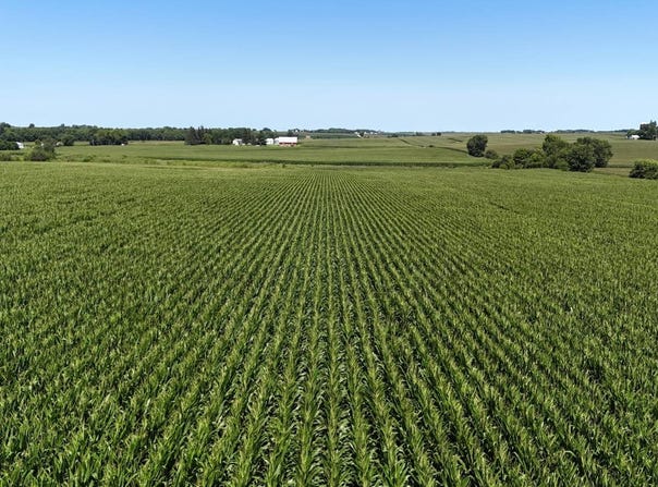 TBD Donald St, Dunkerton, IA 50626
