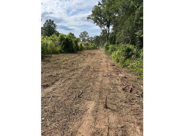 6395 Dinkins Mill Road, Rembert, SC 29128