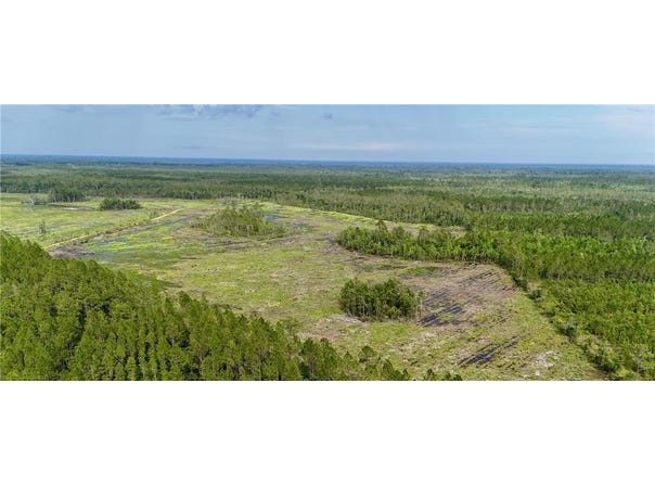0 Off Dogwood Road, Waynesville, GA 31566