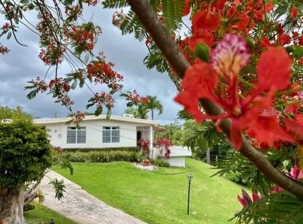 Calle Estaban Cruz LOT #1 BO CERRO GORDO, BAYAMON, 00956