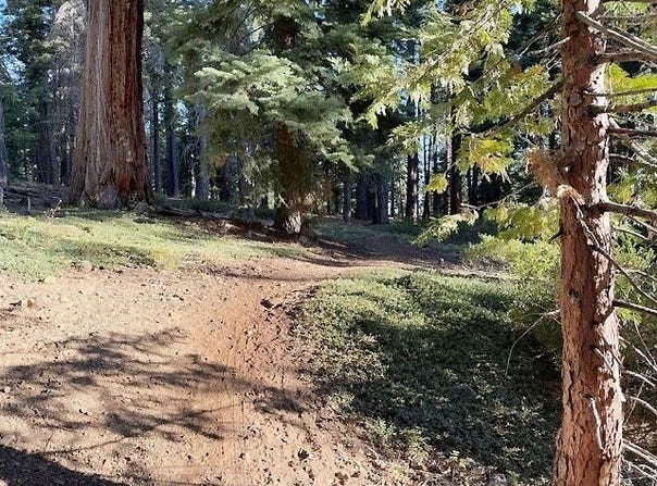 425 Upper Road, Tahoe City, CA 96145