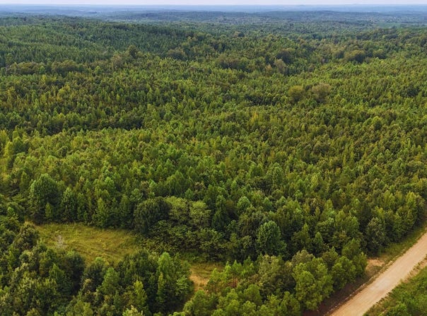 Cr 25, Eupora, MS 39744