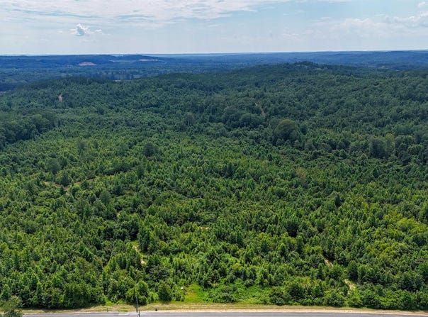 139 Acres County Road 87, Vina, AL 35593