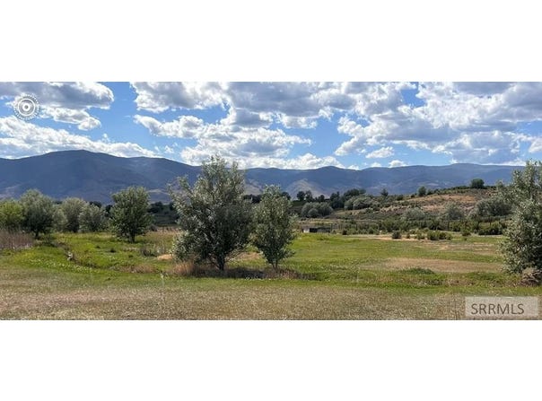 Tbd Hawk Road, Salmon, ID 83467