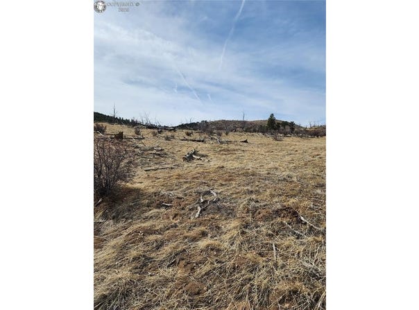 000 E Path, Cotopaxi, CO 81223